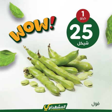 almshhdaoy-bls-lladoat-almnzly-big-4