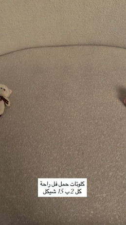 klotat-hml-fl-rah-big-0