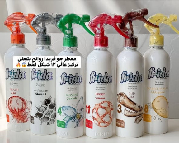 frida-hair-products-big-0