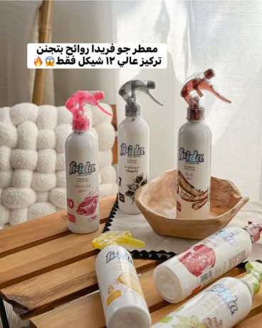 frida-hair-products-big-3