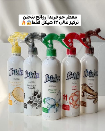frida-hair-products-big-4