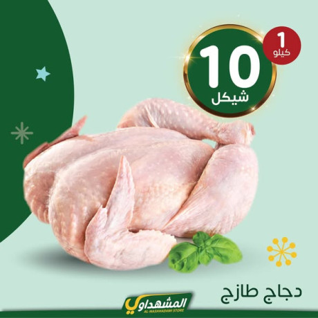 almshhdaoy-bls-lladoat-almnzly-big-1