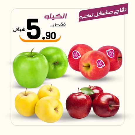 aarod-altazg-lyom-alkhmys-115-big-1