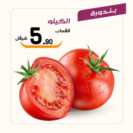 aarod-altazg-lyom-alkhmys-115-big-0