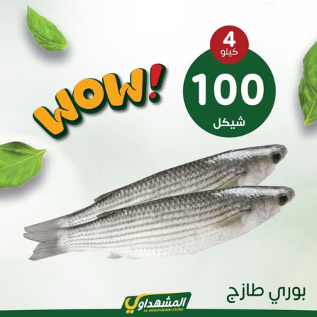 almshhdaoy-bls-lladoat-almnzly-big-4