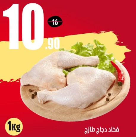 aarod-alathnyn-altazg-big-1