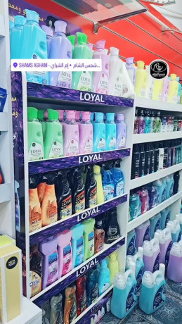 kaf-mntgat-loyal-alardn-big-0