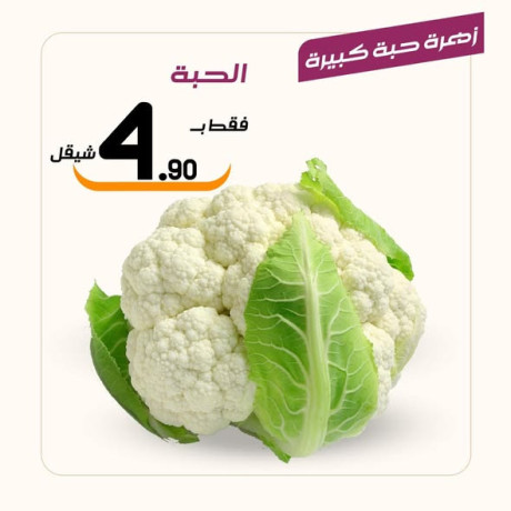 aasl-obsl-sobrmarkt-big-4