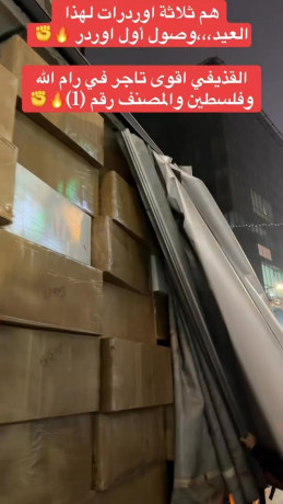 alkthyfy-ako-tagr-fy-ram-allh-oflstyn-btgar-alahthyh-alrgaly-big-0