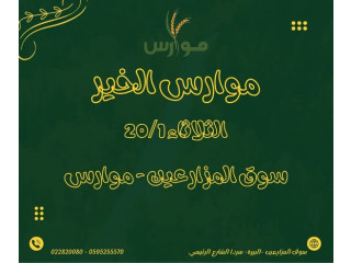 سوق المزارعين موارس – موارس الخيرات