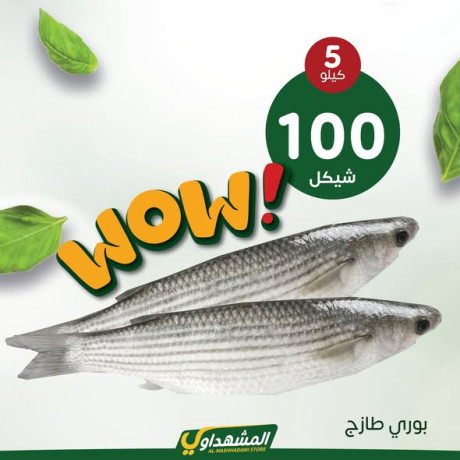 almshhdaoy-bls-lladoat-almnzly-big-3