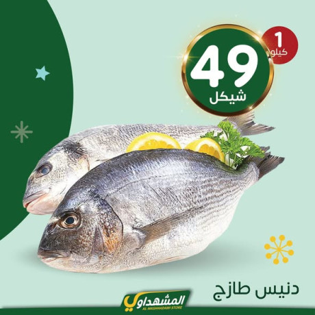 almshhdaoy-bls-lladoat-almnzly-big-1