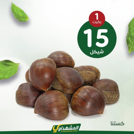 almshhdaoy-bls-lladoat-almnzly-big-4