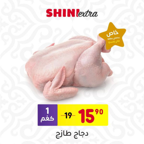 akstra-god-bakl-saar-big-2