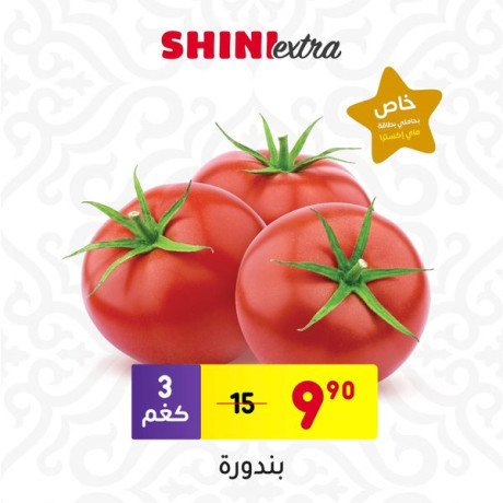 akstra-god-bakl-saar-big-4