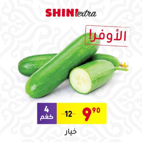 sltk-bs-b-10-shykl-big-3