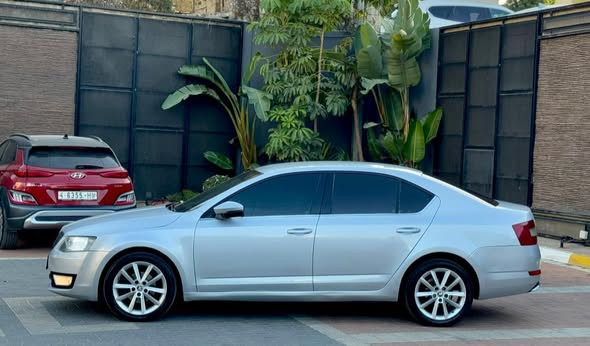 2015-oskoda-octavia-aotomatyk-big-3