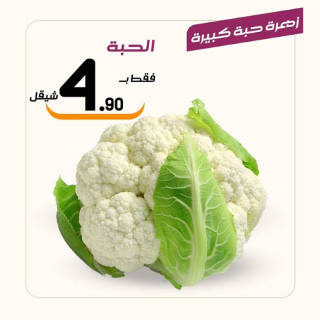 aasl-obsl-sobrmarkt-big-4