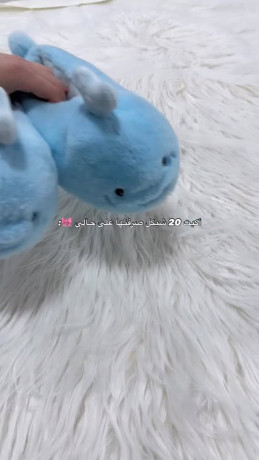 the-cutest-slippers-big-0