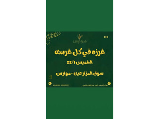 سوق المزارعين موارس