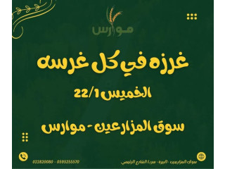 سوق المزارعين موارس