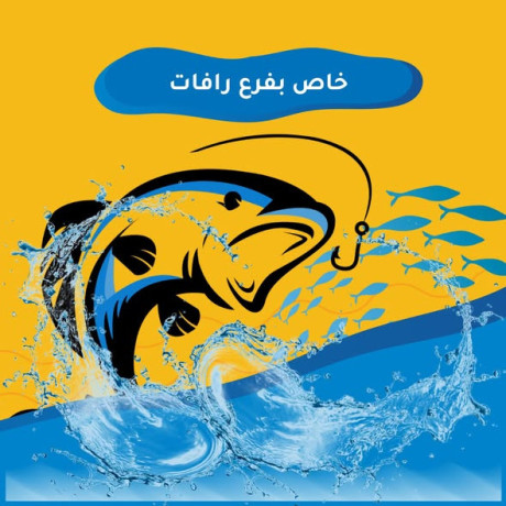 smk-tazg-bafdl-saar-big-1