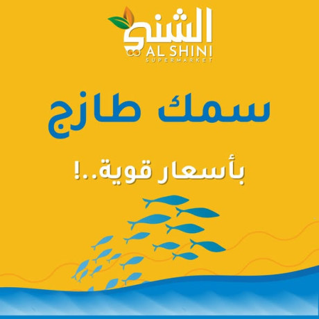 smk-tazg-bafdl-saar-big-0