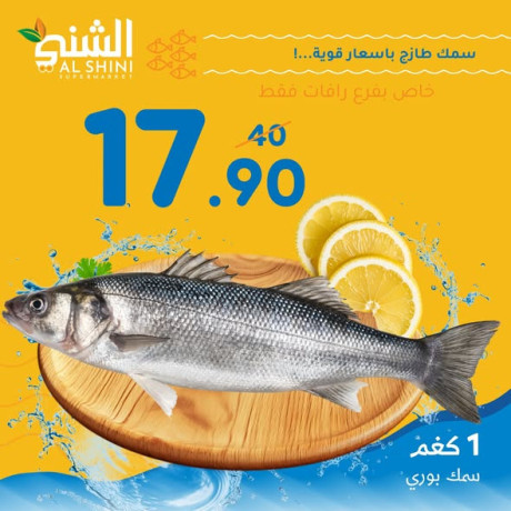 smk-tazg-bafdl-saar-big-2