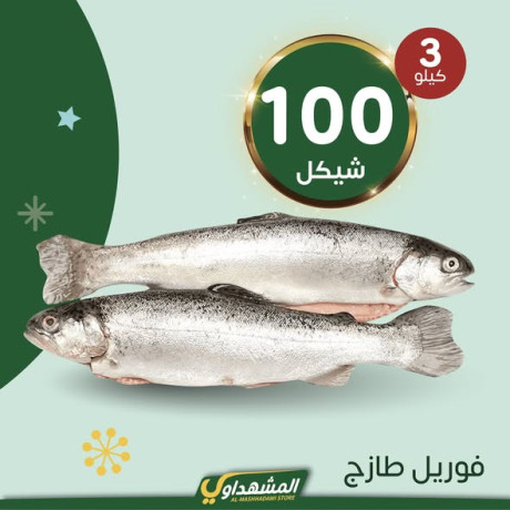 almshhdaoy-bls-lladoat-almnzly-big-1