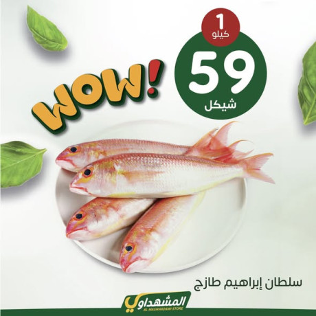 almshhdaoy-bls-lladoat-almnzly-big-3