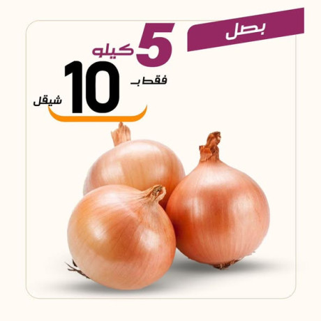 aarod-altazg-lyom-alkhmys-122-big-2