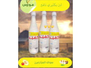 لبن الكفير – المشروب الصحي الطبيعي
