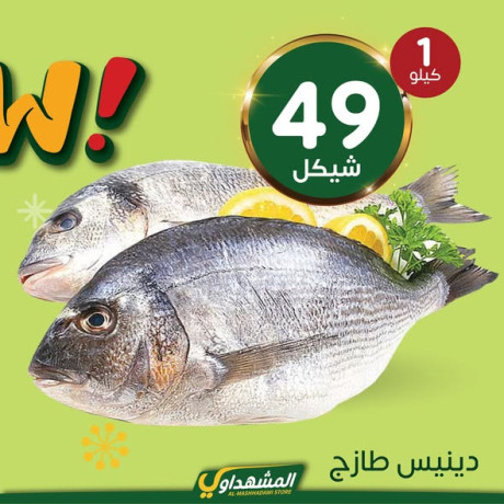 almshhdaoy-bls-lladoat-almnzly-big-1