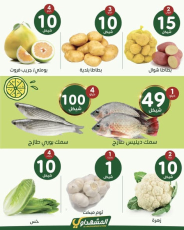 almshhdaoy-bls-lladoat-almnzly-big-4