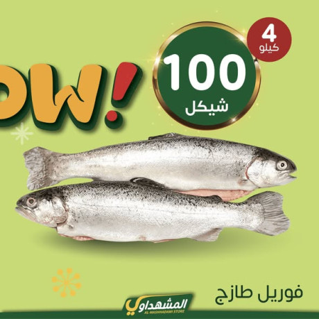 almshhdaoy-bls-lladoat-almnzly-big-1