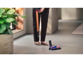 Dyson Piston Animal V16 DS60 Submarine