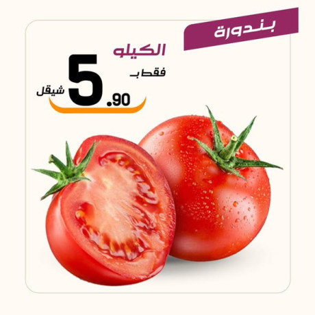 aarod-altazg-lyom-alkhmys-129-big-1