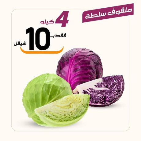 aarod-altazg-lyom-alkhmys-129-big-4