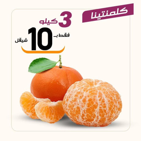 aarod-altazg-lyom-alkhmys-129-big-2