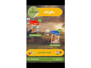 الجمبري الحجم الكبير