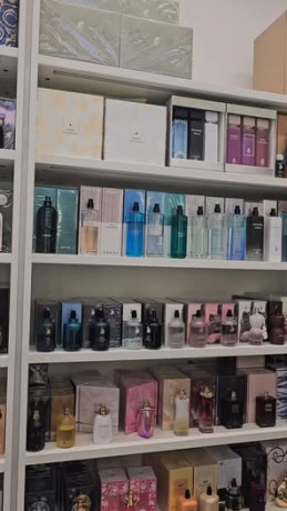 aatr-msk-amyry-big-0