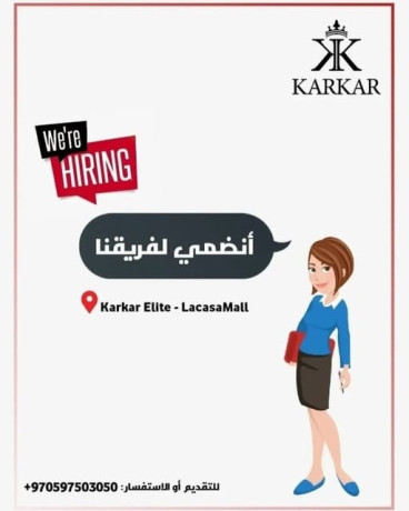 mothf-mbyaaat-fraa-lakasa-mol-big-0