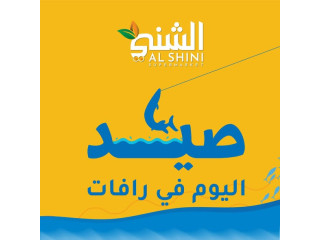 صيد طازج الجمعة