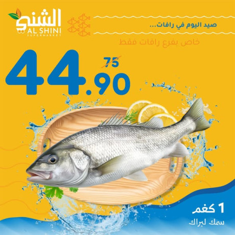 syd-tazg-algmaa-big-2