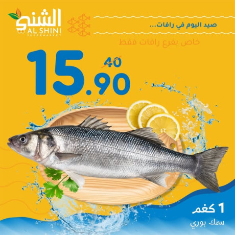 syd-tazg-algmaa-big-4