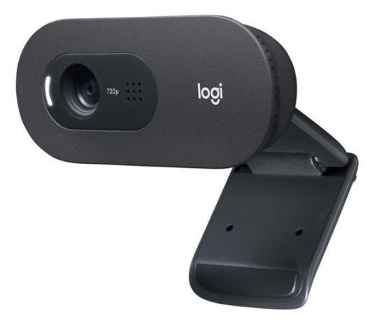 logitech-c505-hd-webcam-big-1