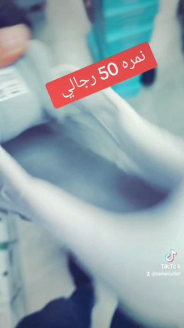 aly-bdo-bot-nmrh-50-hyo-aana-bbyt-hnyna-tlaah-hzma-baotar-big-0