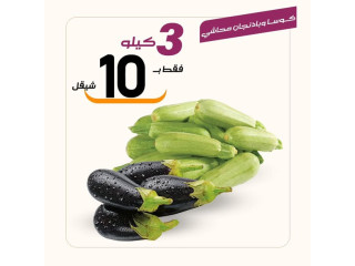 عروض الطازج ليوم السبت 3/28