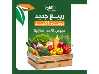 عروض الأحد الطازجة