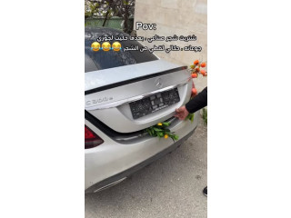 تشكيلة شجر مختلفة واحجام مختلفة